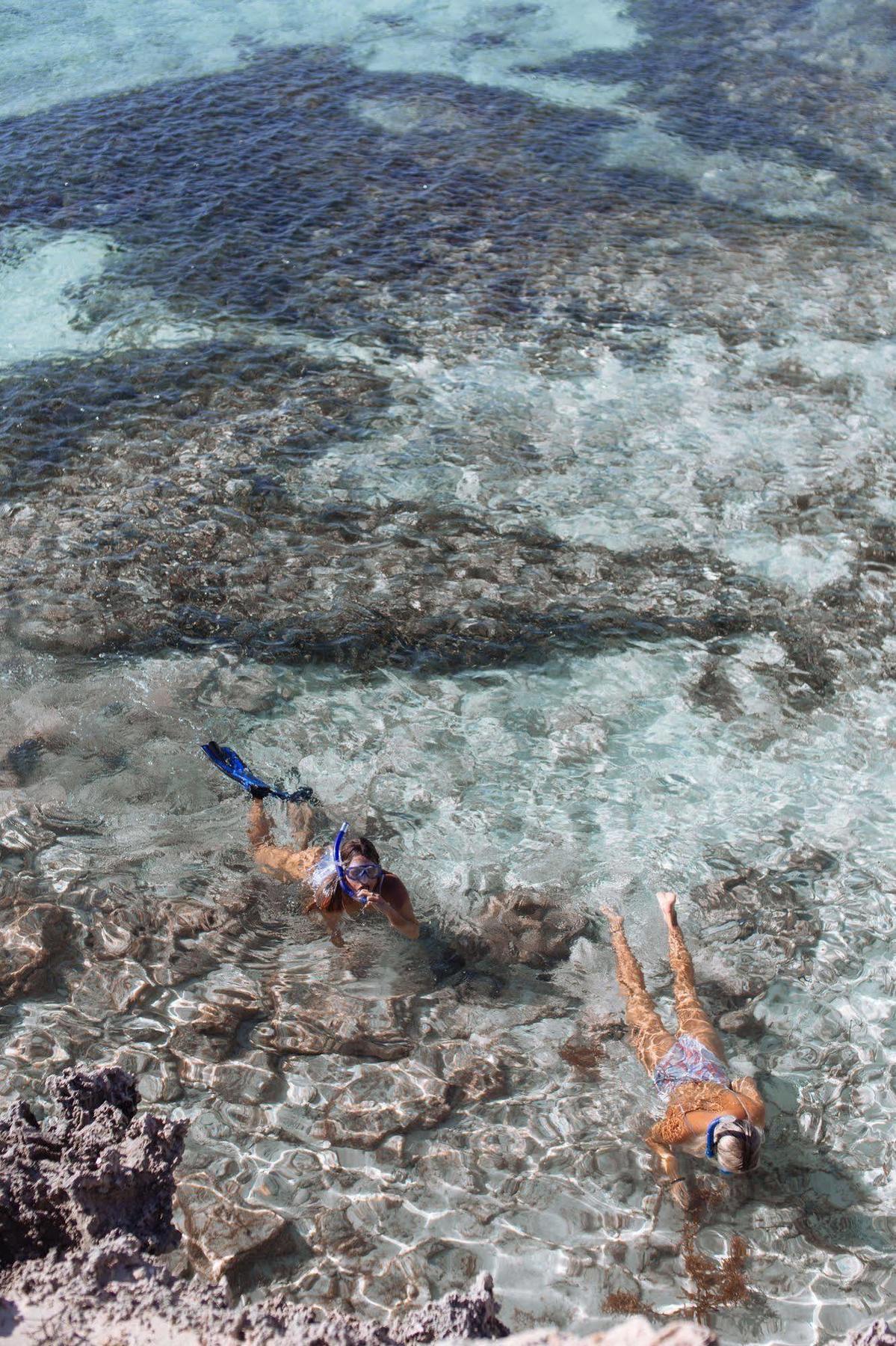 Samphire Rottnest Rottnest Island